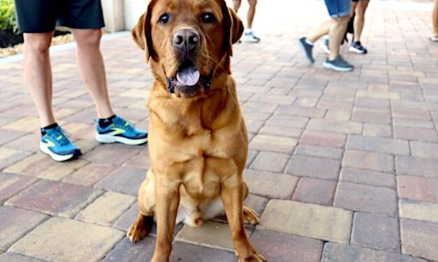 Bonita National Goes to the Dogs for Charity