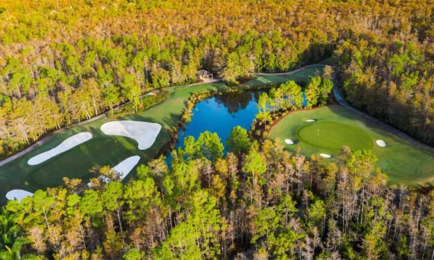 Club at Olde Cypress