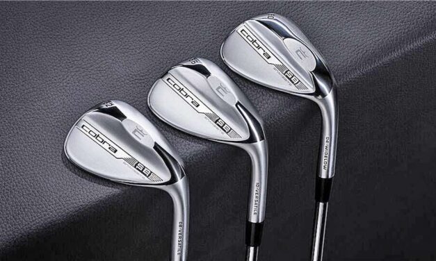Cobra’s Snakebite Wedges