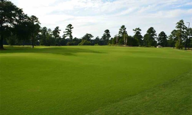 Putt for Dough: Santee’s Palmetto Traverse