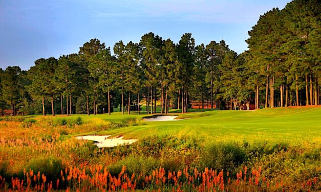 Pinehurst No. 8 to Undergo Agronomic Remastering