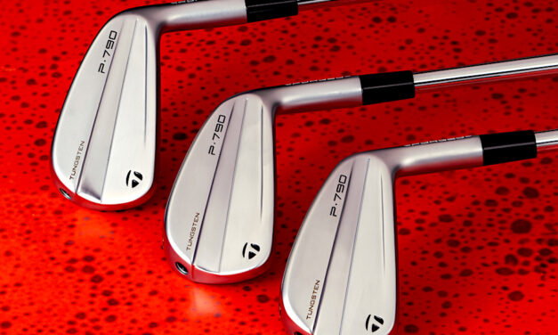 TaylorMade P-790 Irons