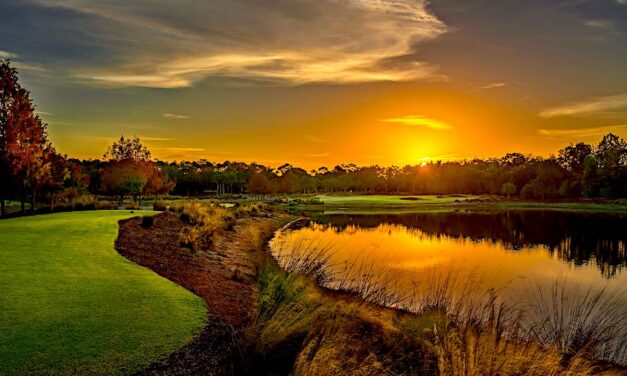 Tiburon Gold Shines Bright