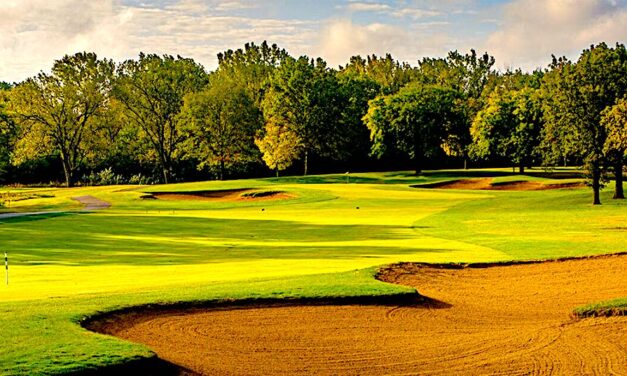 Forest Preserve Golf