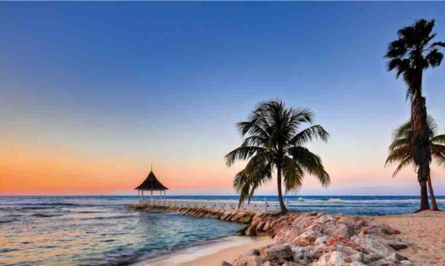 Salamander to Manage Half Moon Jamaica