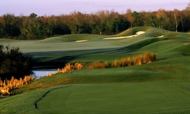 Indian River Preserve Honored by Audubon International