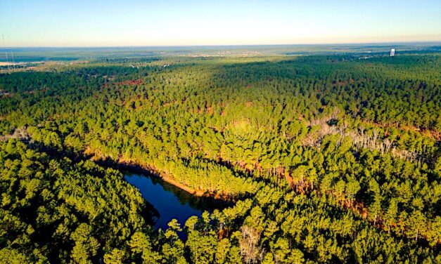 Pinehurst Resort’s 10th Course